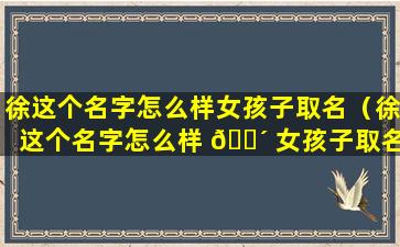 徐这个名字怎么样女孩子取名（徐这个名字怎么样 🐴 女孩子取名好吗）